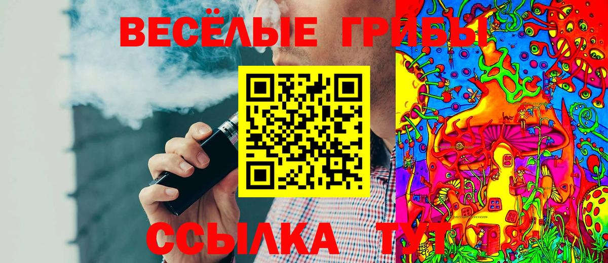 Галлюциногенные грибы Magic Shrooms  Вход с VPN  Кизилюрт 